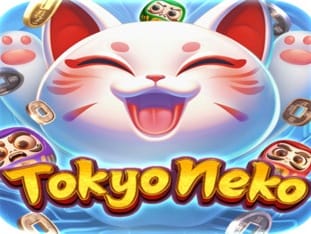 Tokyo Neko game cover