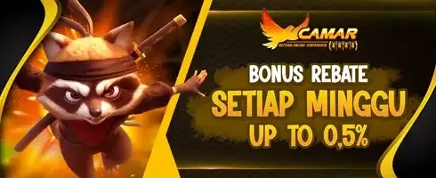 Rebate Slot Harian VIP 0.5% promotion banner