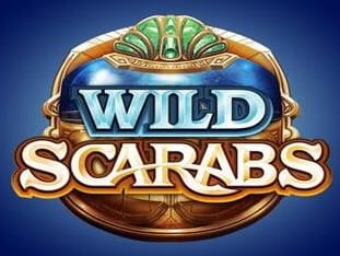 Wild Scarabs game cover